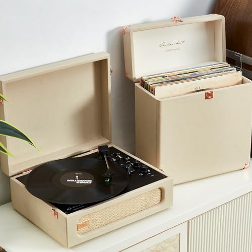 Vinyl Record Storage and Carrying Case, Holds 30 Albums H2930