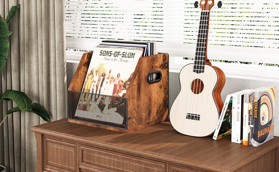 Vinyl Record Storage Box, Holds up to 60 Records V34365
