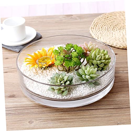 Glass Hydroponic Vase Terrarium Planter for Succulents and Fish Tank I270