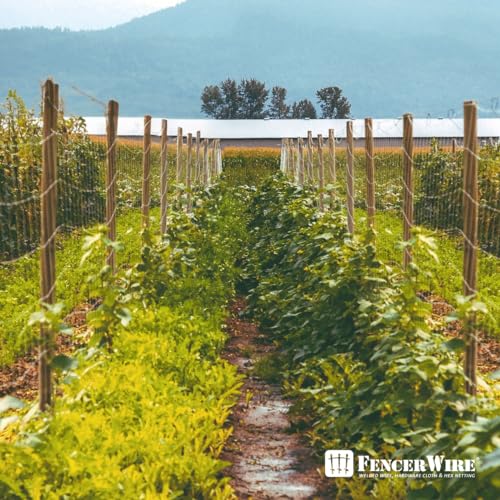 Galvanized Welded Wire Mesh 2x4 Inch D512