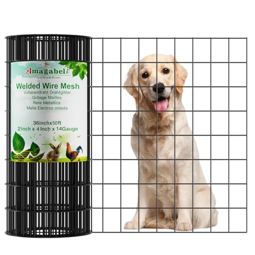 AMAGABELI GARDEN & HOME Black PVC Coated Welded Wire Fence 2inchx3inch 24inchx25ft 16Gauge Garden Border Fencing Roll Vinyl Coating Metal Wire Mesh Garden Bed Plant Supports Poultry Netting Cage