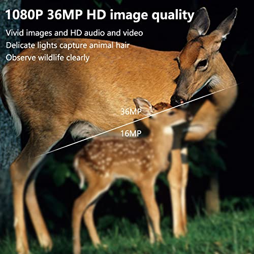 Mini Trail Camera 2-Pack, 36MP 1080P, Night Vision, Motion Activated C6718