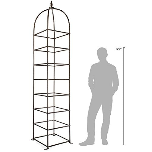 Trellis Obelisk for Climbing Plants, Weather Resistant Iron and Metal E70477