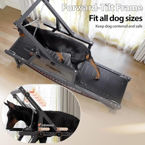 Dog Treadmill for Medium Dogs with Brake and Plastic Track F80860