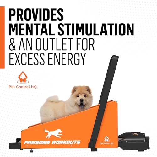 Dog Treadmill for Small and Medium Dogs U305595