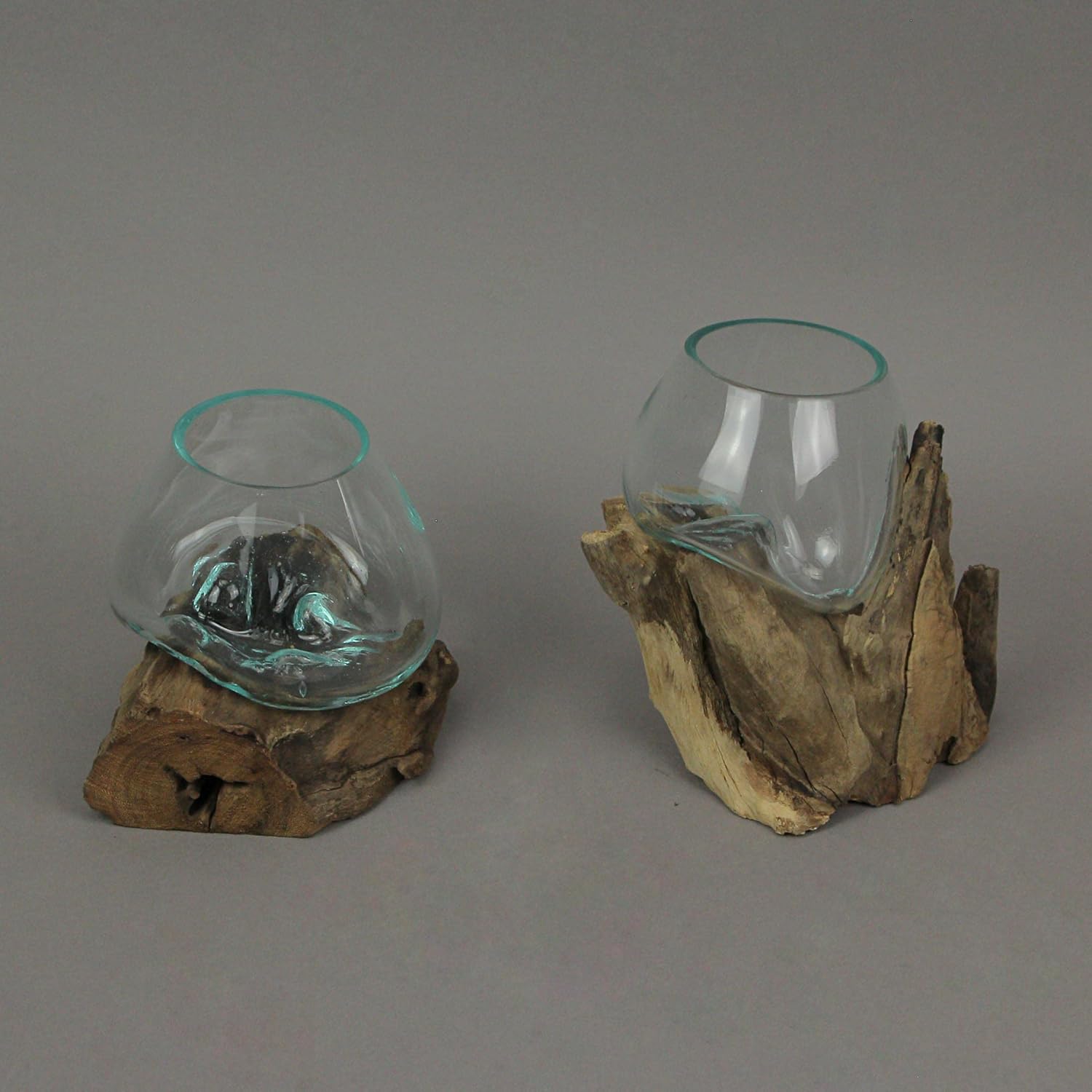 Set of 2 Glass and Teak Driftwood Decorative Bowls, Vases, and Terrarium Planters W9717