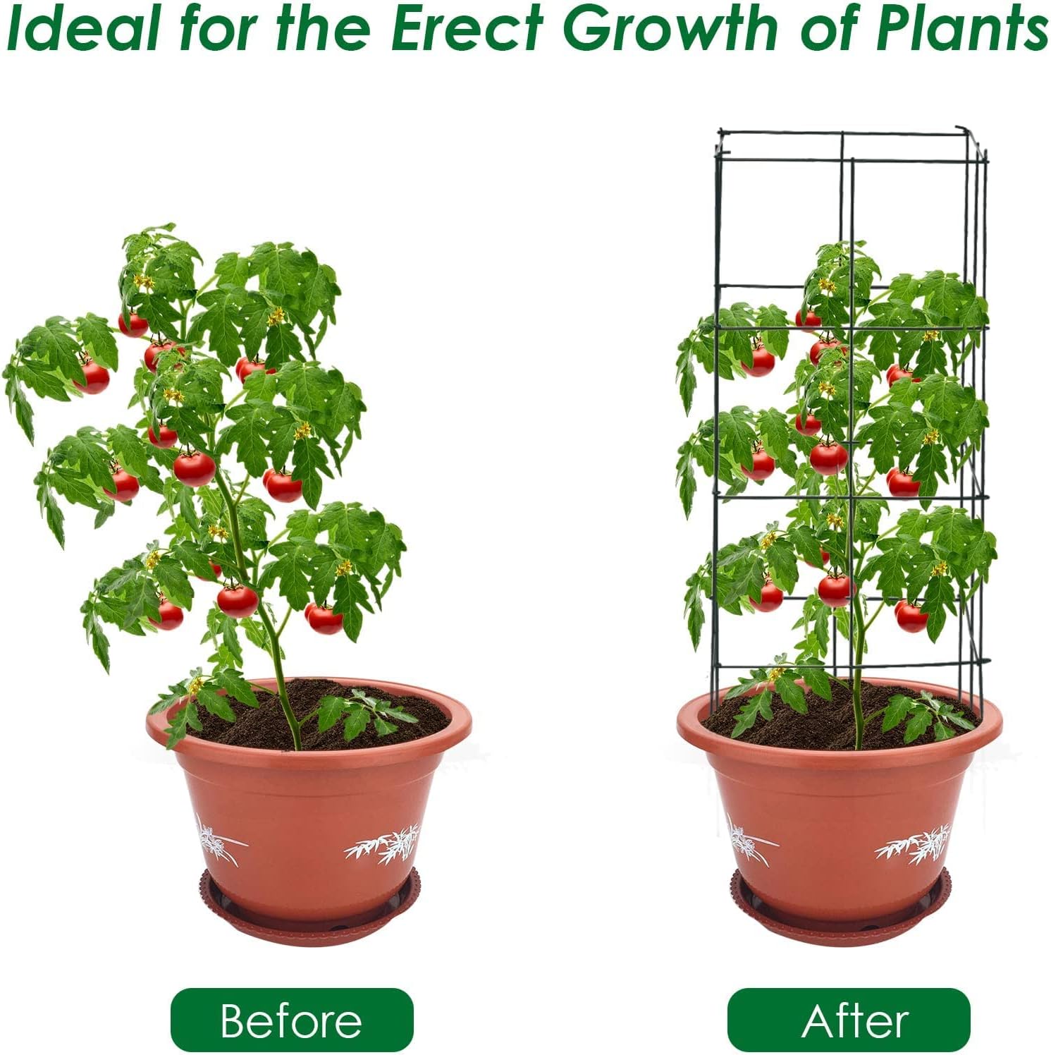 Folding Tomato Cages 39 Inches Tall, Plant Support for Garden Climbing Plants Z77589