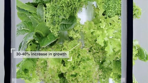 Indoor Hydroponic Growing System with LED Grow Lights and Grow Tent I692