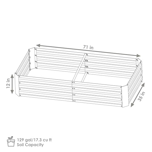 Galvanized Steel Rectangular Raised Garden Bed for Flowers, Plants, and Vegetables H772933