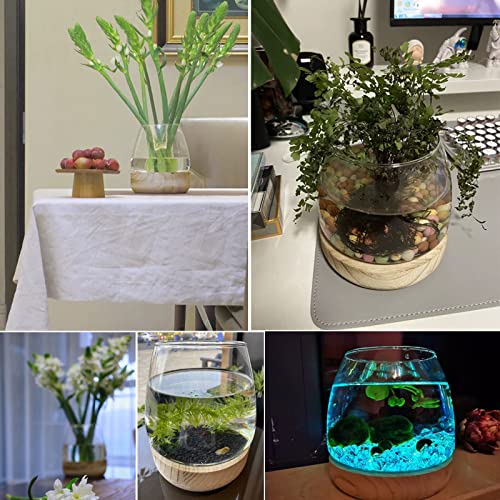 Clear Glass Bubble Vase with Wooden Base for Hydroponic Plants and Flower Arrangement G6771