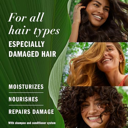 Argan Oil Repair Shampoo & Conditioner Set, Paraben-Free, Citrus Scent, 20.2 Fl Oz, 2-Pack X627