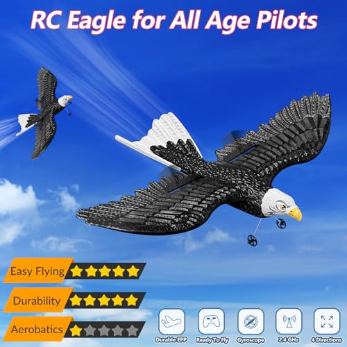 RC Eagle 2CH Remote Control Airplane for Kids & Beginners D1811