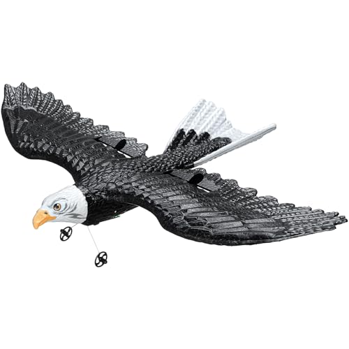 RC Airplane, 2.4GHz 2 Channel Remote Control Aircraft with 6-Axis Gyro, Red J366