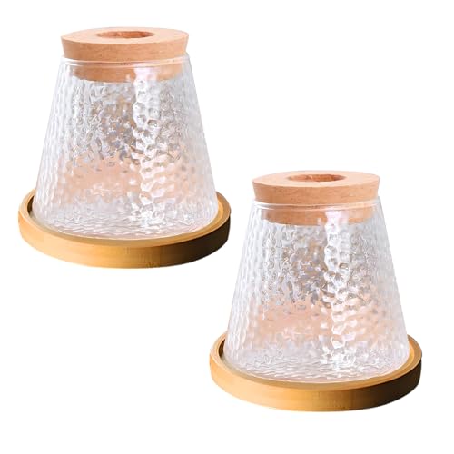 Desktop Plant Terrarium with Wood Lid, Glass Propagation Station D659