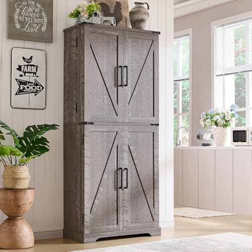 Farmhouse Storage Cabinet with Barn Doors and Adjustable Shelves X3170