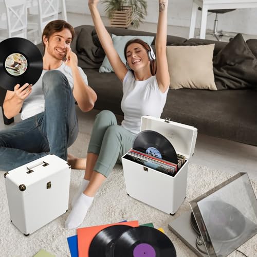 Vinyl Record Storage Box Holds 30 Albums T146