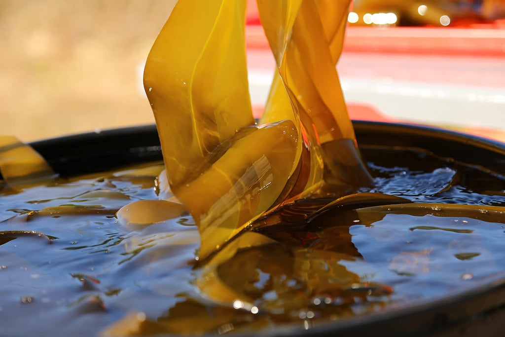 Organic Liquid Kelp Fertilizer for Indoor & Outdoor Plants Q9293