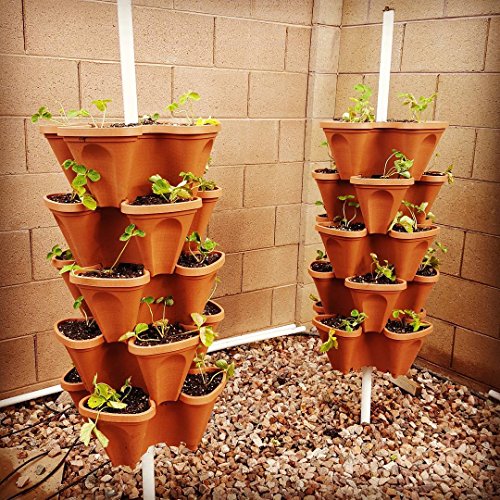 Stackable Vertical Planters for Strawberry, Tomato, Pepper Q22352