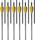Trophy Ridge Wrath 340 Spine Fletched Carbon Arrows