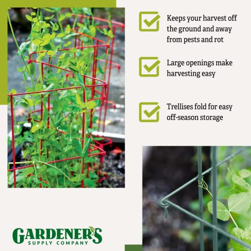 Expandable Tall Pea Trellis for Climbing Plants, Steel Garden Support, 9'8" L x 37" H H309