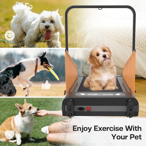 Dog Treadmill for Small Medium Dogs with Remote Control S261