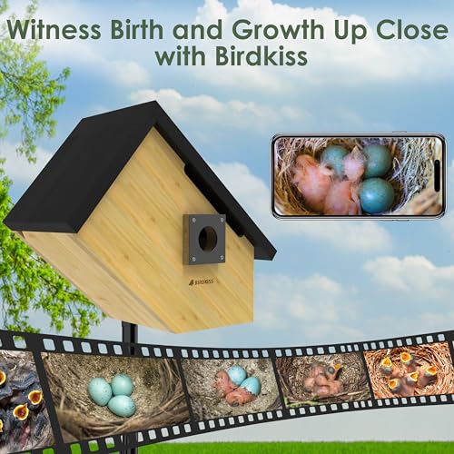 Solar Powered Bird House with HD Camera for Outdoor Viewing J875209