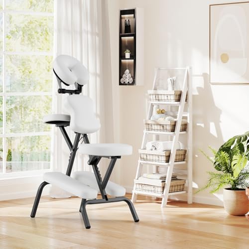 Portable Massage Chair with Carrying Bag X71829