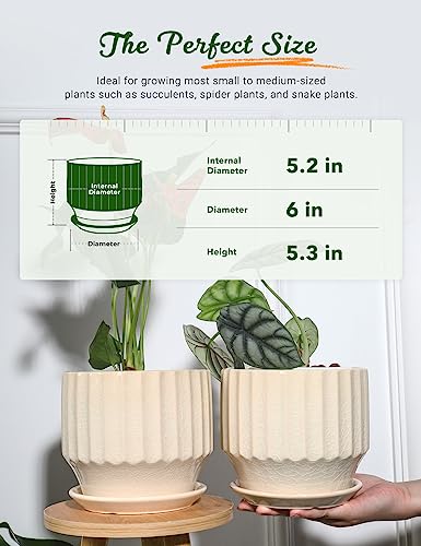 Ceramic Plant Pots 6 inch with Drainage Hole and Saucer, Set of 2, Creamy White K14152