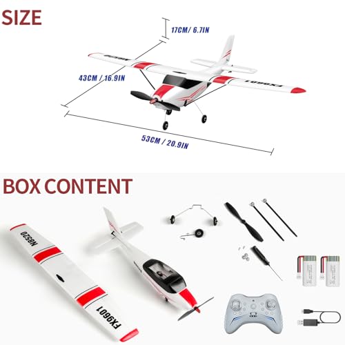 RC Airplane Ready to Fly, 2.4GHz Remote Control Glider for Kids W3947