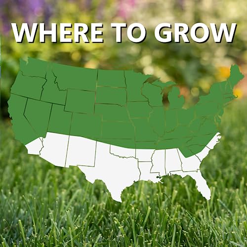 Shady Nooks Grass Seed - Cool Season Lawn Seed (3 lb) Z35076