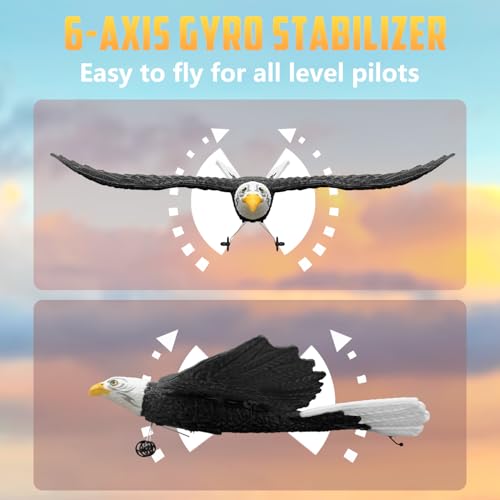 RC Eagle 2CH Remote Control Airplane for Kids & Beginners D1811
