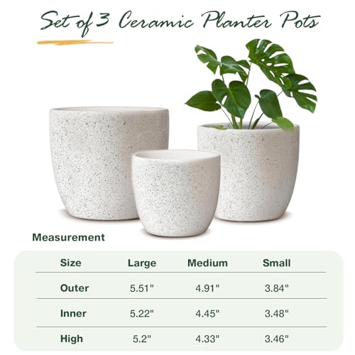 Ceramic Plant Pots Set of 3 with Drainage Hole, Indoor Outdoor D896728