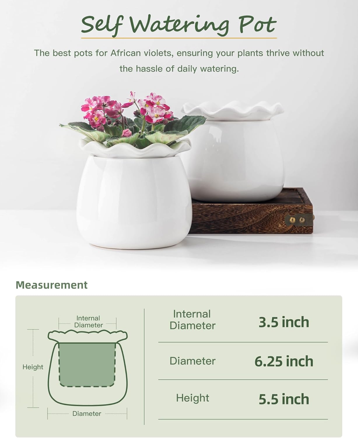 Self-Watering Ceramic Plant Pot for Indoor Plants B167