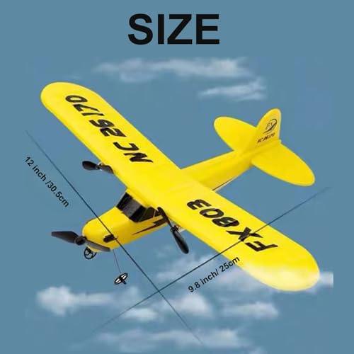 RC Airplane 2.4GHz Remote Control with Gyro for Beginners O624