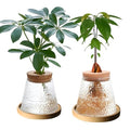 2 Pcs Separated Desktop Plant Terrarium with Wood Lid,Glass Plants Propagation Station,Planter Water Station Planting Glass Vase for Growing Hydroponic Home Office Table Decor (Water Ripple)
