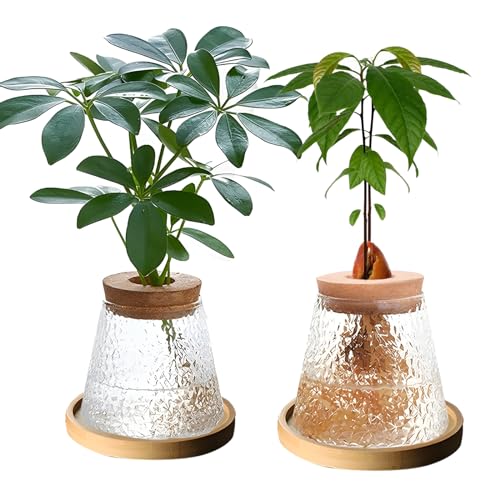 2 Pcs Separated Desktop Plant Terrarium with Wood Lid,Glass Plants Propagation Station,Planter Water Station Planting Glass Vase for Growing Hydroponic Home Office Table Decor (Water Ripple)