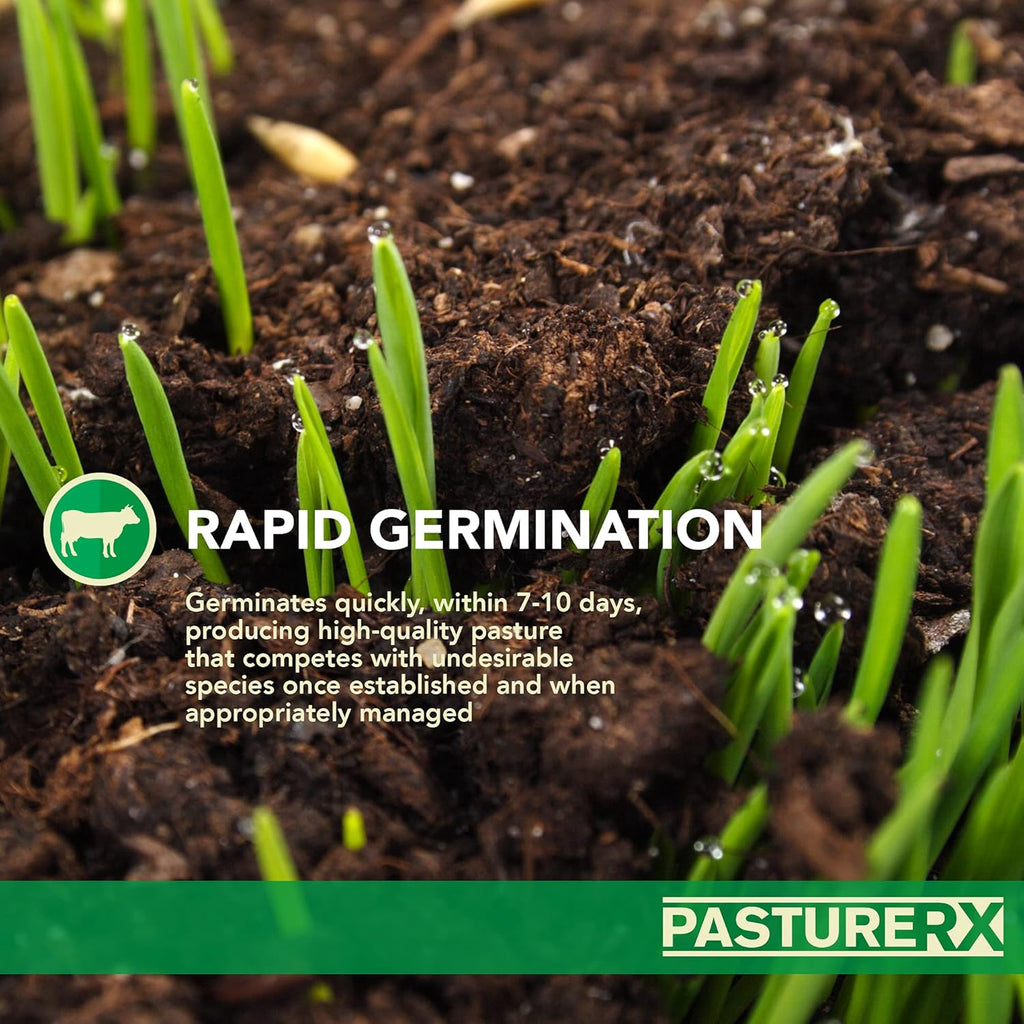 Pasture Grass and Forage Seed Mix, 23 lbs. I33857