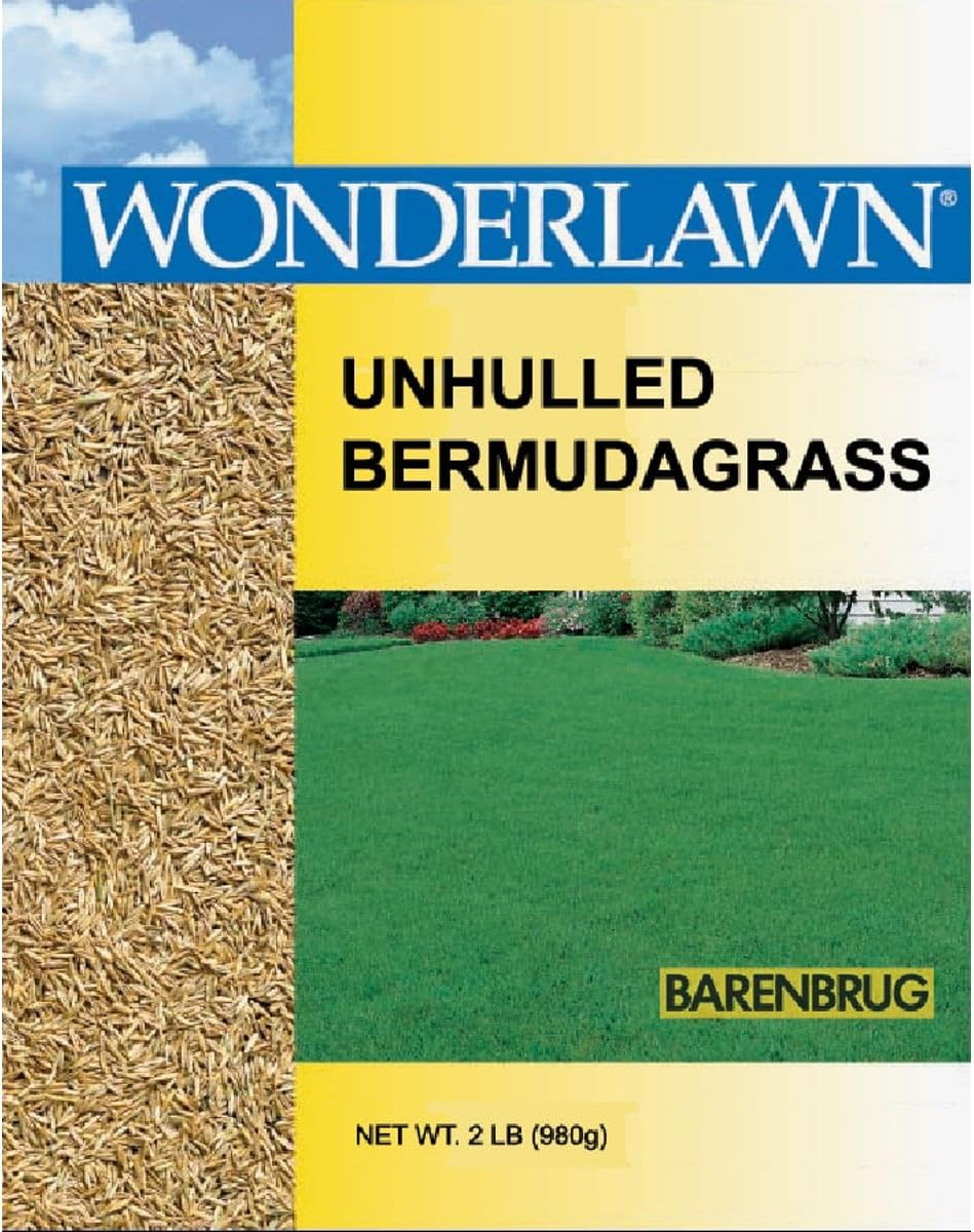 Barenbrug USA 81202 Bermudagrass Grass Seed