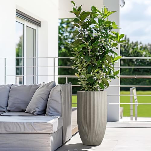 24 Inch Tall Concrete Planter with Drainage Hole for Patio or Porch N93751