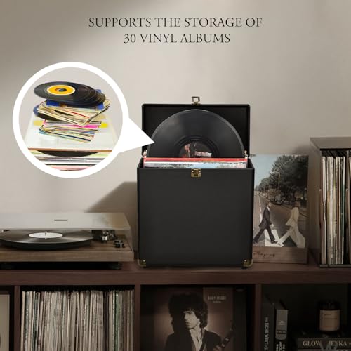 Vinyl Record Storage Box Holds 30 Albums T146