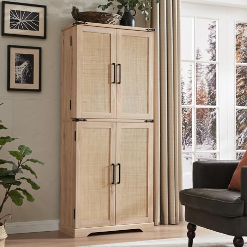 Farmhouse Storage Cabinet with Barn Doors and Adjustable Shelves X3170