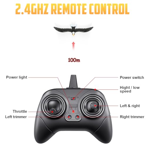 RC Eagle 2CH Remote Control Airplane for Kids & Beginners D1811