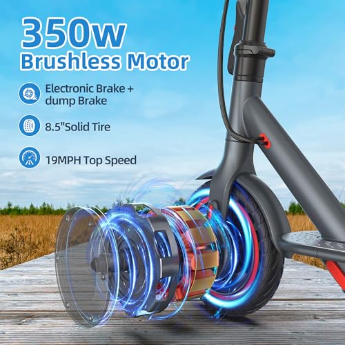 Electric Scooter for Adults, 350W, 19 Mph, 15-19 Mile Range, Folding with 8.5" Solid Tires O775637