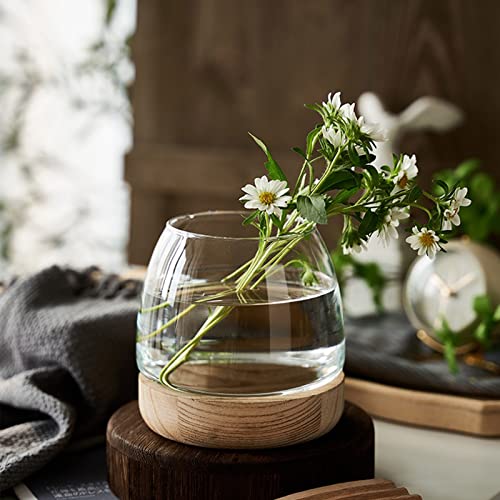 Clear Glass Bubble Vase with Wooden Base for Hydroponic Plants and Flower Arrangement G6771