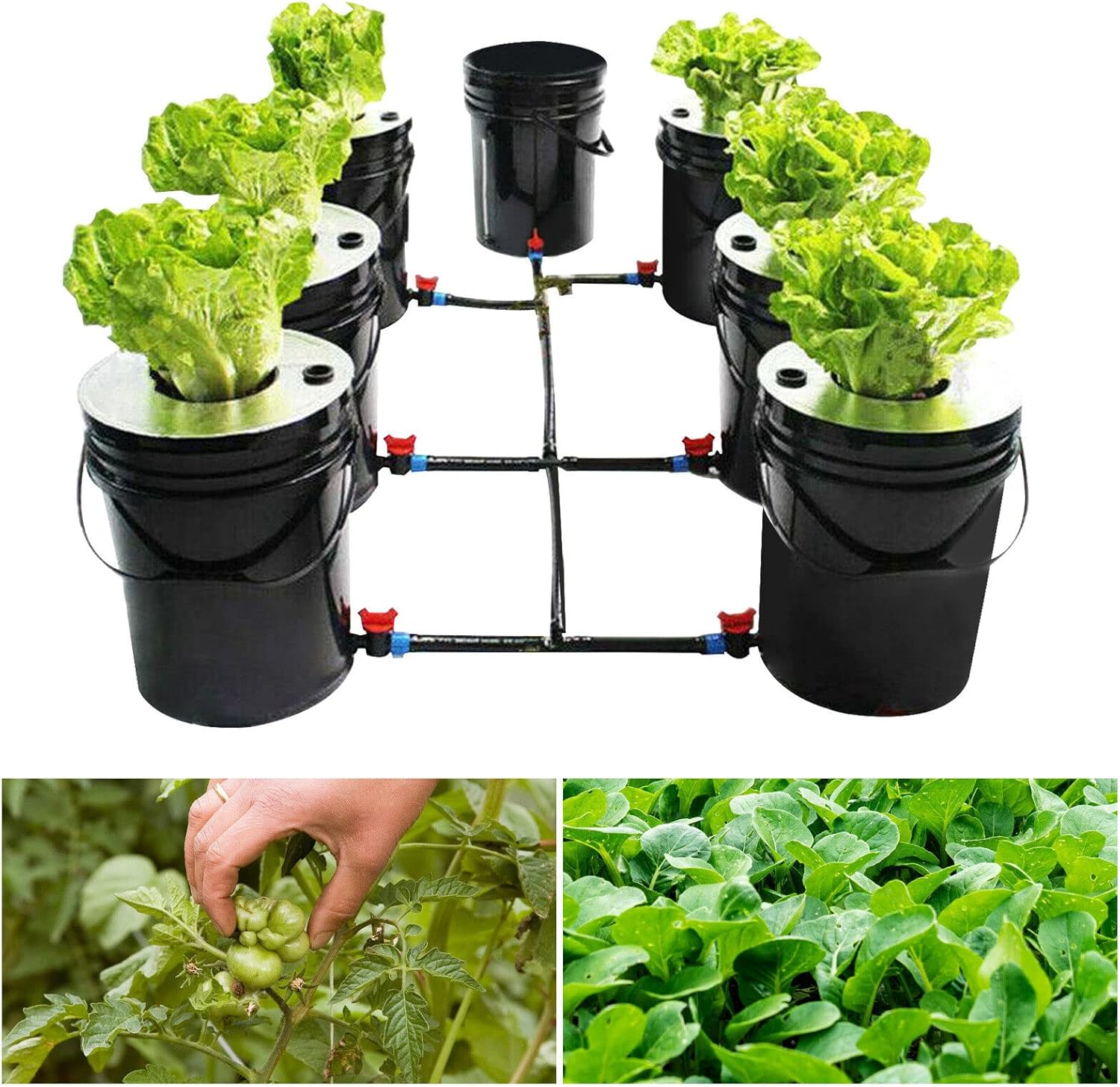 Hydroponics Growing System, 7 Buckets 5 Gallon Recirculating Deep Water Culture V1503