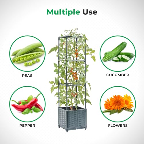 Raised Garden Bed with Tomato Cage and Trellis for Outdoor Planting L957