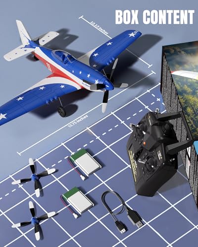 RC Plane 4 Channel Remote Control Fighter Airplane with 6-Axis Gyro, Easy to Fly for Beginners L2816