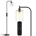 PAZZO LED Floor Lamp, Industrial Standing Lamp with Glass Lampshade, Ideal for Living Room, Bedroom, and Office,Gold(includes Remote Control)