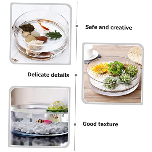 Glass Hydroponic Vase Terrarium Planter for Succulents and Fish Tank I270