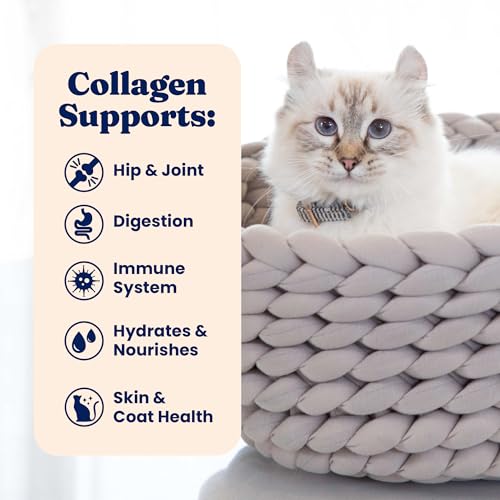 Bone Broth Cat Food Topper with Chicken and Collagen, 12ct T18168